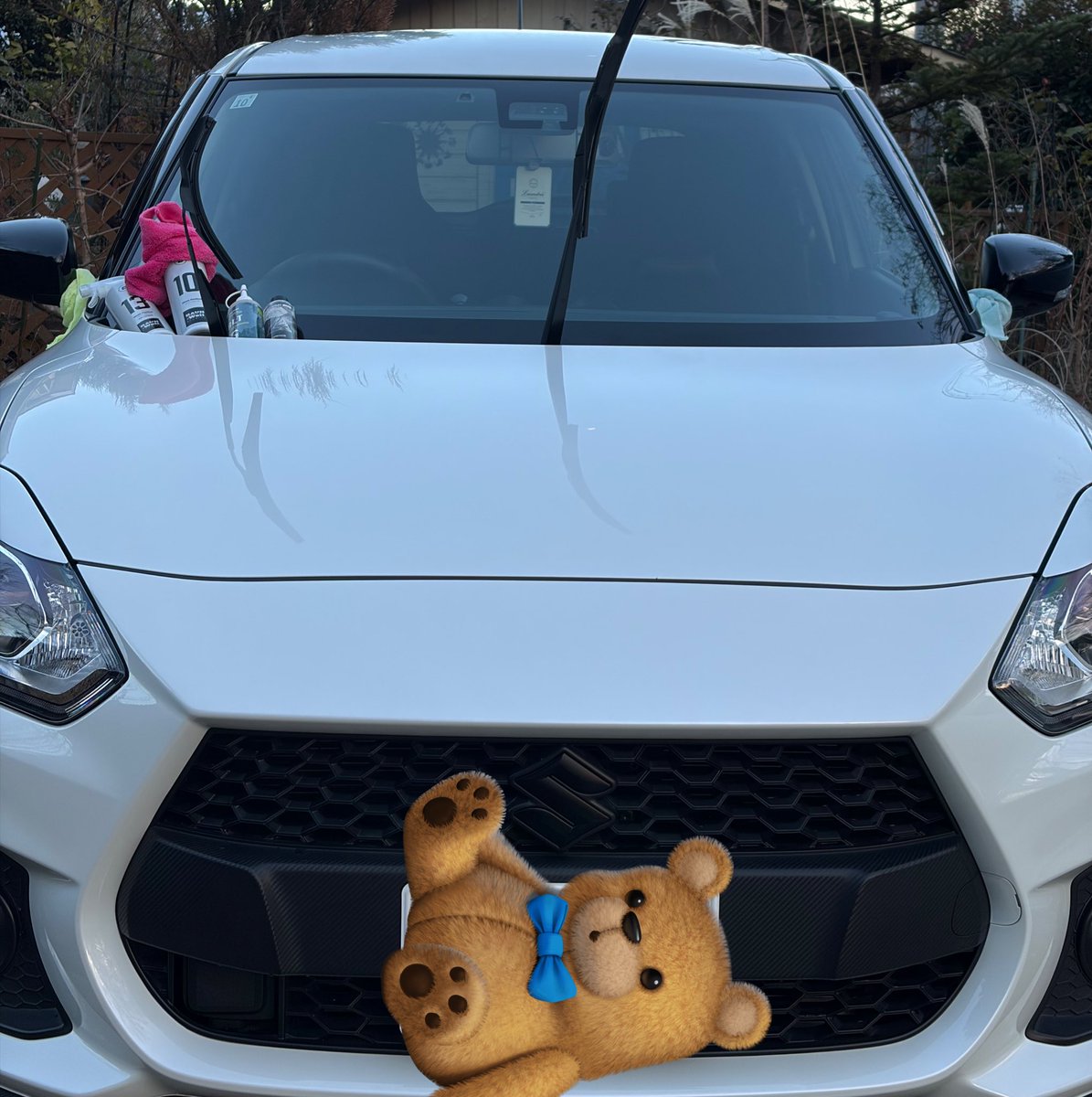 swift_normal tweet picture