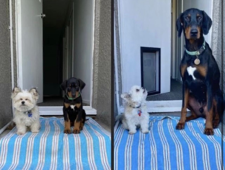 ツナクマ (@kuma_tuna) / Posts / X