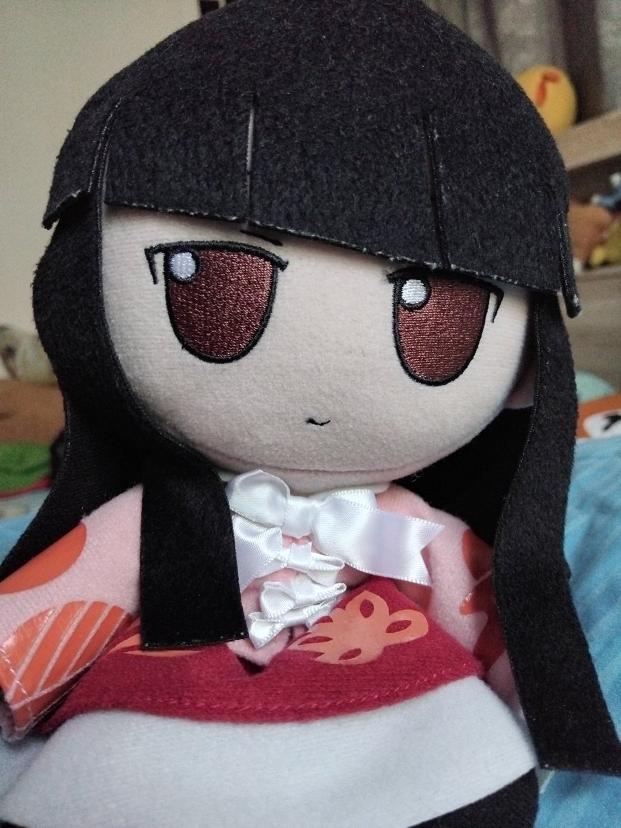 完売　縁起木＊魔除け【今春2年生と3年生になりました！天然＊野生のもみの木さん】 萌木の村ナチュラルガーデンマンス2025 | 萌木の村