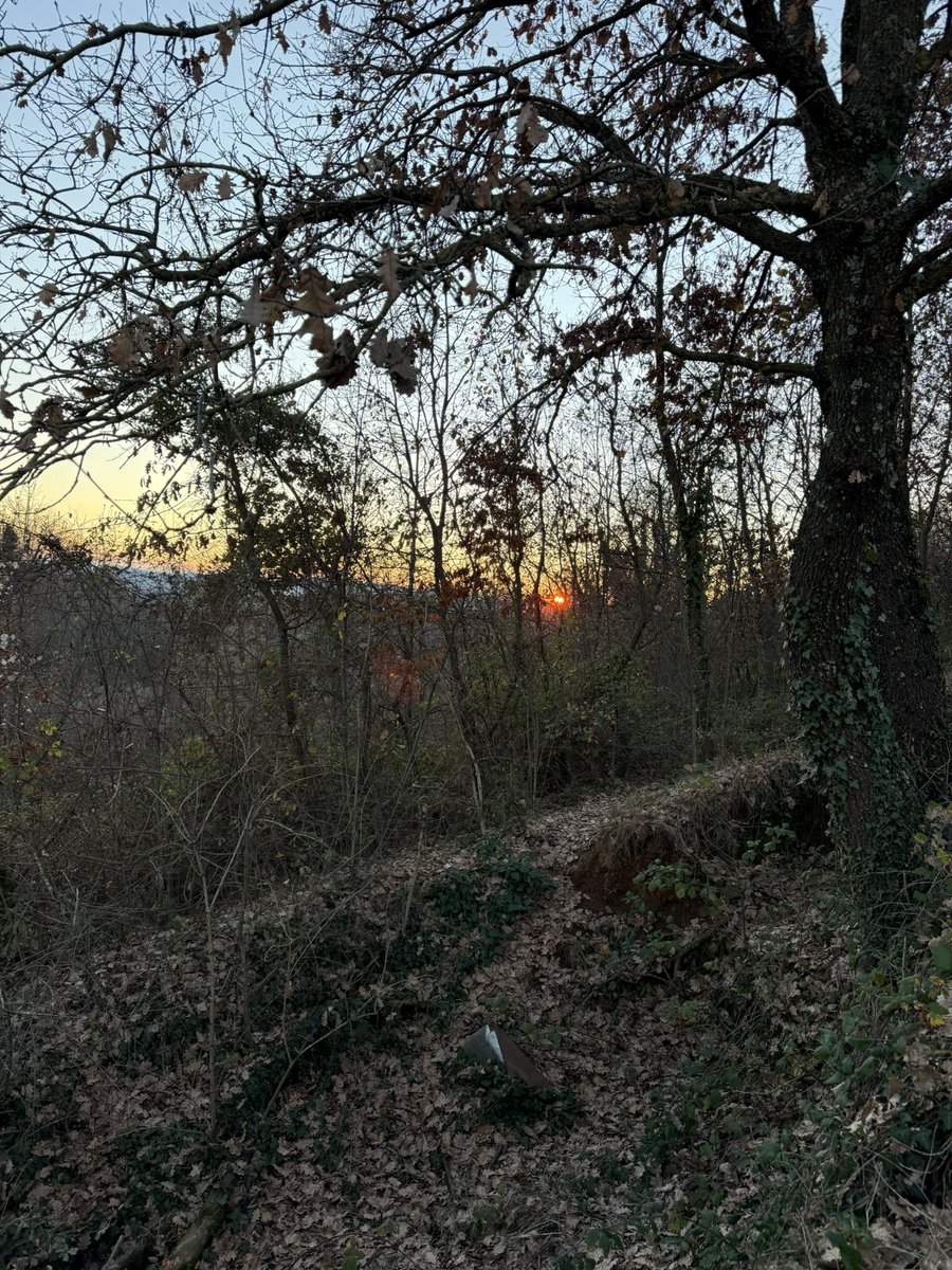 🅻🅰🆄🆁🅰🅻🅰🅽🅳 tweet media