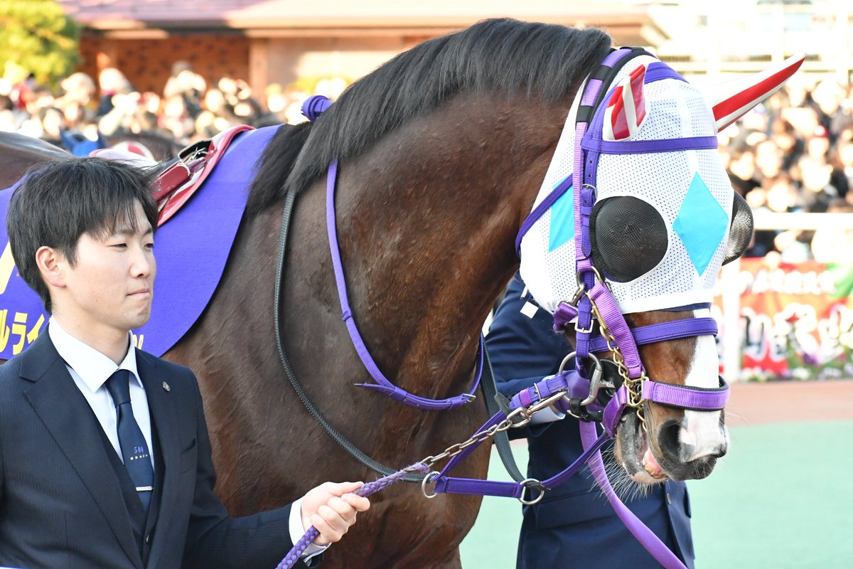 masaka_Photo's tweet photo. 12/29 大井競馬場9R
東京大賞典
ナチュラルライズ https://t.co/2sxhBj5oqc
