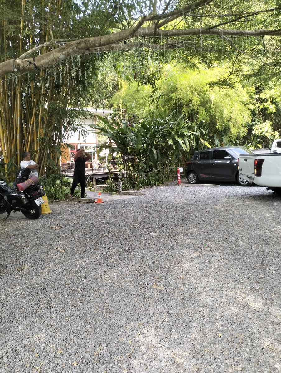 บีม tweet media