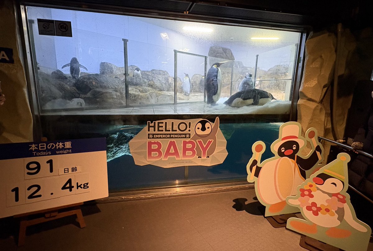 ゆきちゃん様　(=^x^=)専用(=^x^=) 2025年自分が選ぶ今年の4枚 ゆきちゃん一色の年でしたね