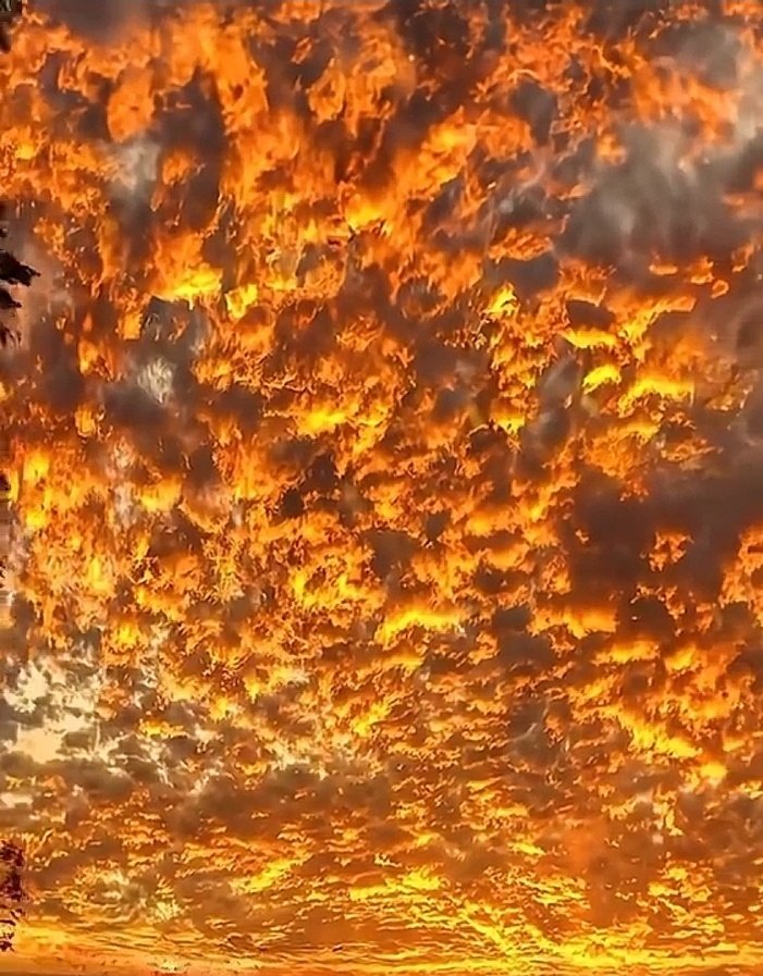 اضرب صميم صمام الامان
واقطع شرايين الفرس واذناب
___
نذكرك بمنصات سكود يا نسيان
خوا يصفقها الهوا واتراب
___
قليل من كثير واكثر من اطنان
مجنحات سواقها قبايل اشناب
__
ما جمعناهم مثلك بحراج غلمان
نزوت ليل مرمي عند الابواب
___
نقرن الماضي بجديد ببرهان
ونركعك للحق وتلحس اتراب