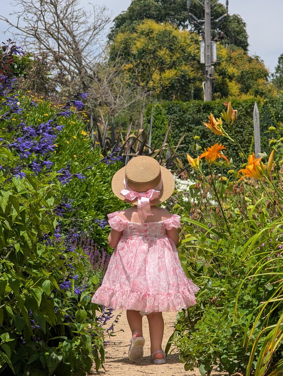 Ash 🌙 tweet media