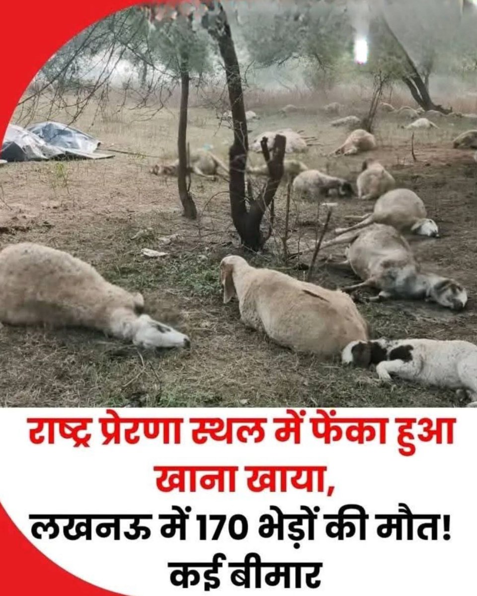 मां. माननीय मुख्यमंत्री उत्तर प्रदेश <a href="/myogiadityanath/">Yogi Adityanath</a> जी से विनम्र निवेदन है कि "लखनऊ के प्रेरणा स्थल के उद्घाटन के बाद बचे हुए खाने को खाकर जो पाल समाज के लोगों की 170 मेंढ़ों की मौत हुई है, उसकी निष्पक्ष जांच करके उन्हें उचित मुआवजा दें!