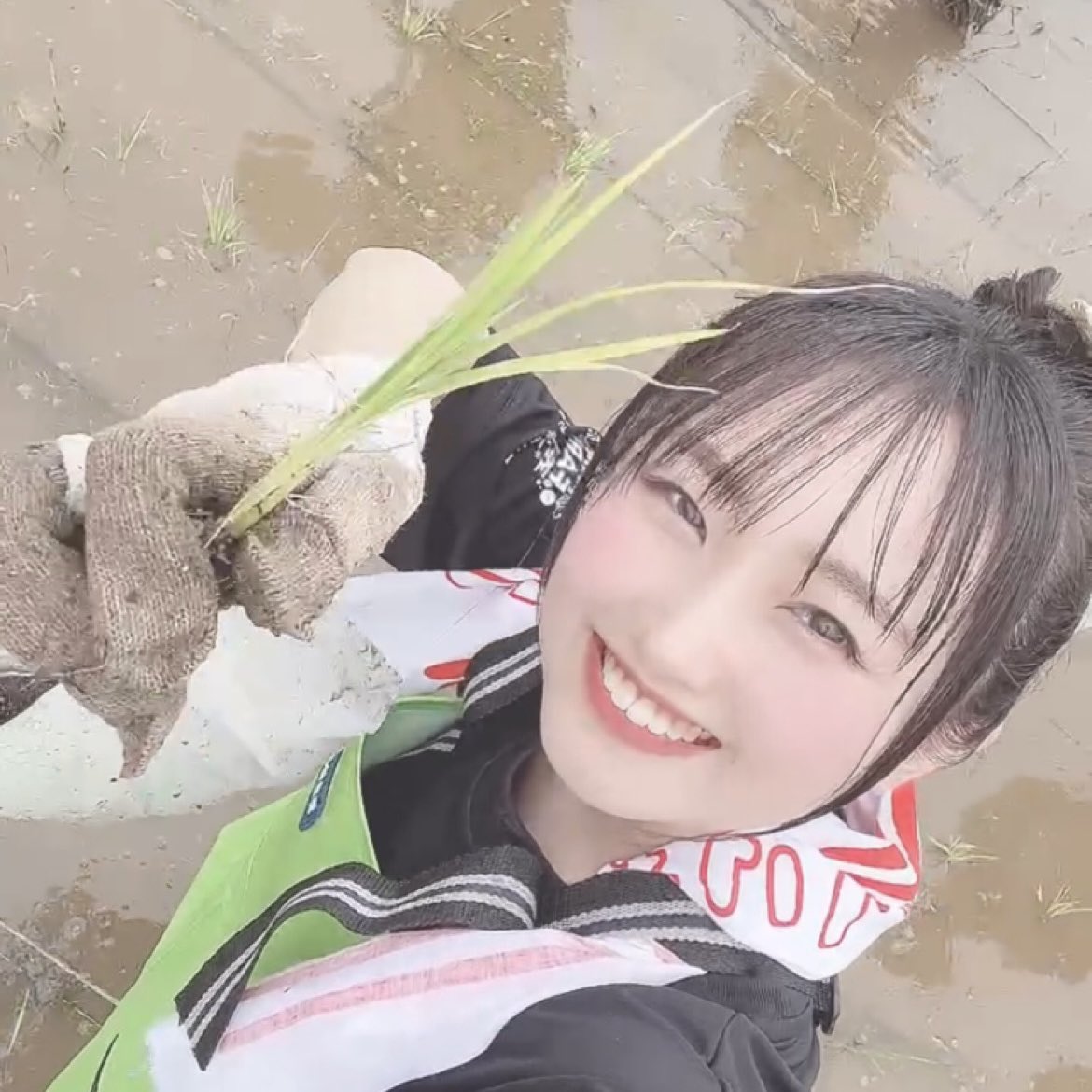 鳴海まい🌾 (@mai_narumin) / Posts / X