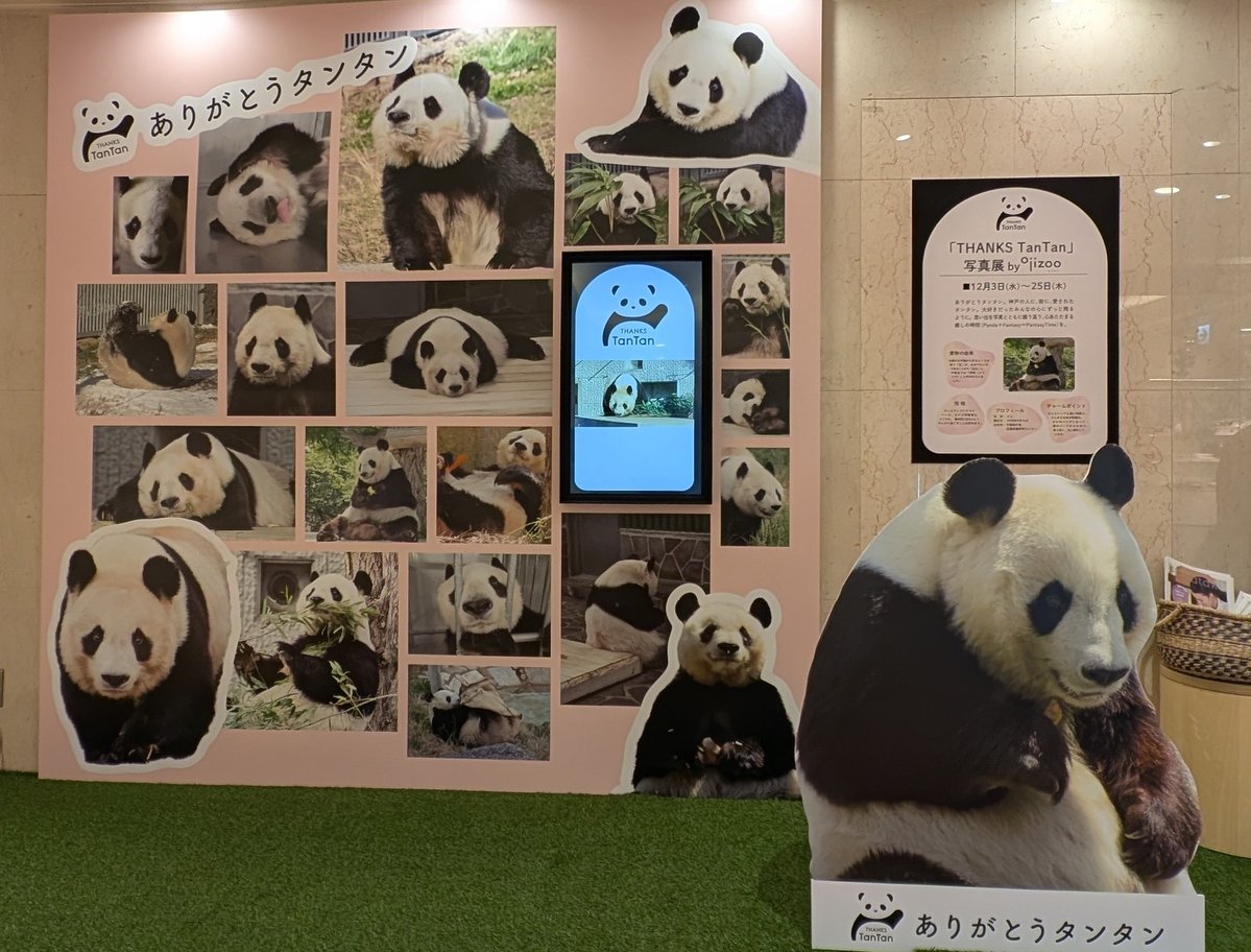 ∠chan000 (@chan000) / Posts / X