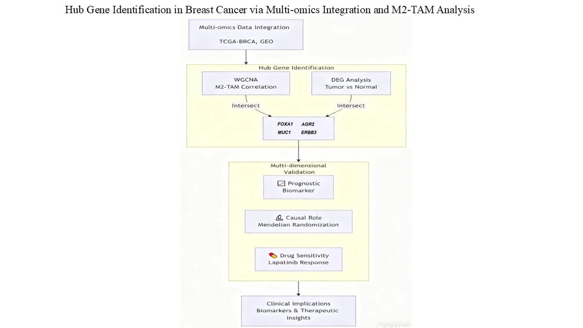 GPD_ASP's tweet photo. 🔥 NEW STUDY: "Identification of hub genes in breast cancer through genome-wide association and functional analyses of M2-like tumor-associated macrophages" 

by Guang Yang* | Zhaorui Hao | Xingrui Liu | Zixi Tang

🥰Read:
 https://t.co/RlbPz2uaM9

#BreastCancer #Genomics https://t.co/d1M8ia9DAp