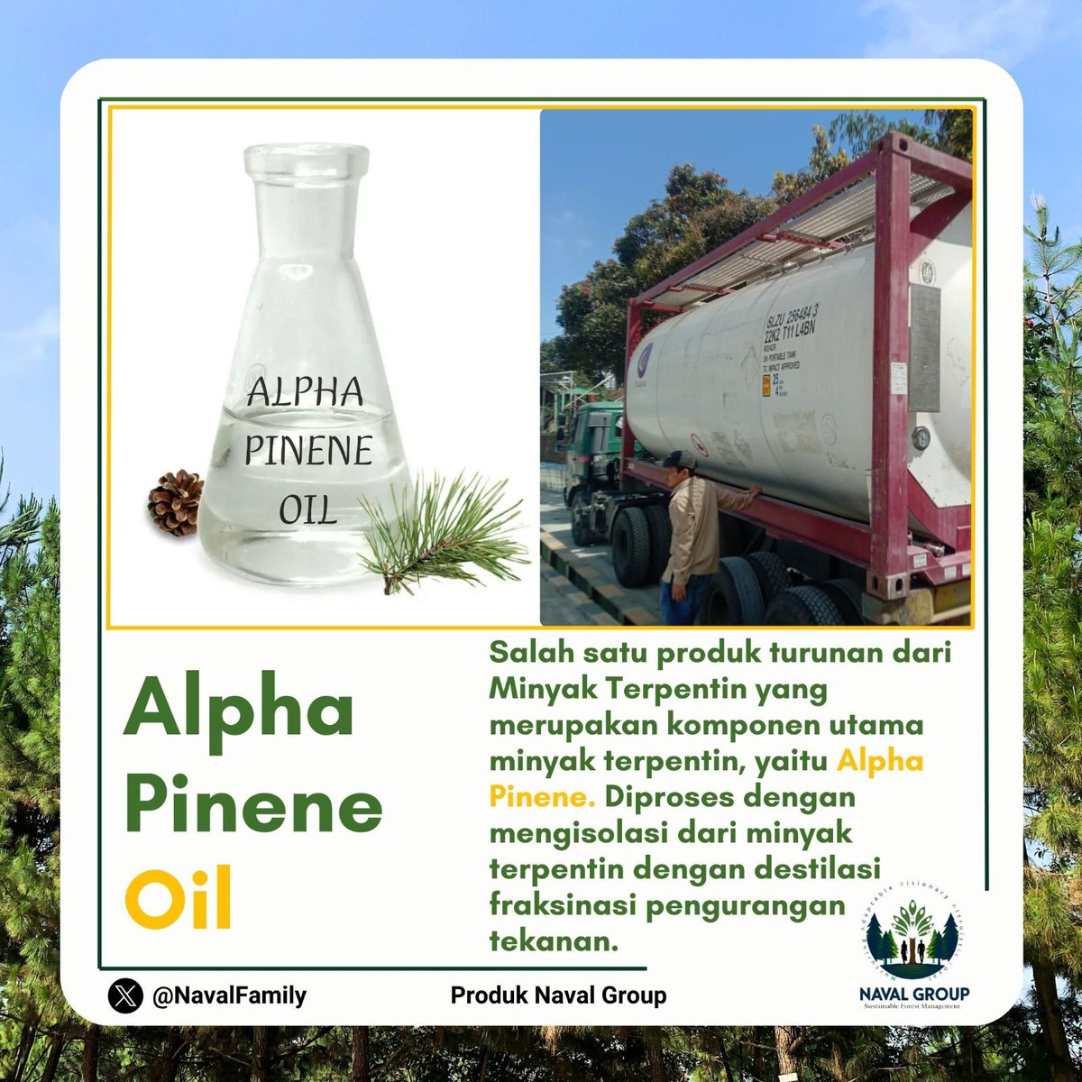 NavalFamily's tweet image. Ke Somali sambil dengar lagu,
Suara Salma bikin tenang jiwa.
Mudik NatalTahunBaru lancar selalu,
Alpha Pinene hadir jaga suasana.

Alpha pinene mau lewaat, apa itu Alpha Pinene? Simaak
#Alphapinene #Minyak #Produklokal #IndonesiaMaju