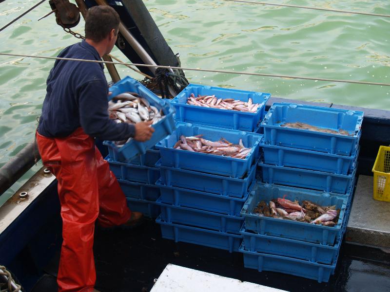 El Departament d’Agricultura paga els 5,9 milions d’euros pendents d’ajuts al sector pesquer
buff.ly/72CViey
#Pesca #PortsCostaBrava #SomPorts #PortsCatalans