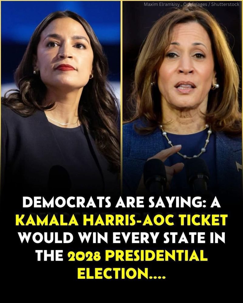 SnakeMannn's tweet image. Look out @elonmusk Are you ready?