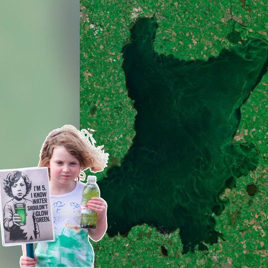 Belfast Telegraph tweet media