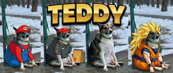 ThorbenYVL's tweet photo. Teddy is going viral on TikTok

5.8M views and 1.1M likes in just 2 days

Just a goofy dog who can be memed like we did with $michi

So we had $michi, now we have $Teddy

tiktok : https://t.co/MGueWdLzOr https://t.co/oK00y8jWVU