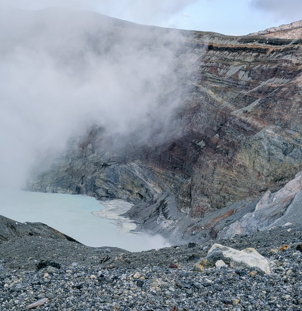 ryoki_Script's tweet image. 生の熊さん見て
あか牛丼食べて
阿蘇山の火山口見て
くまモングッズにニヤニヤして
今から帰ります🚗³₃