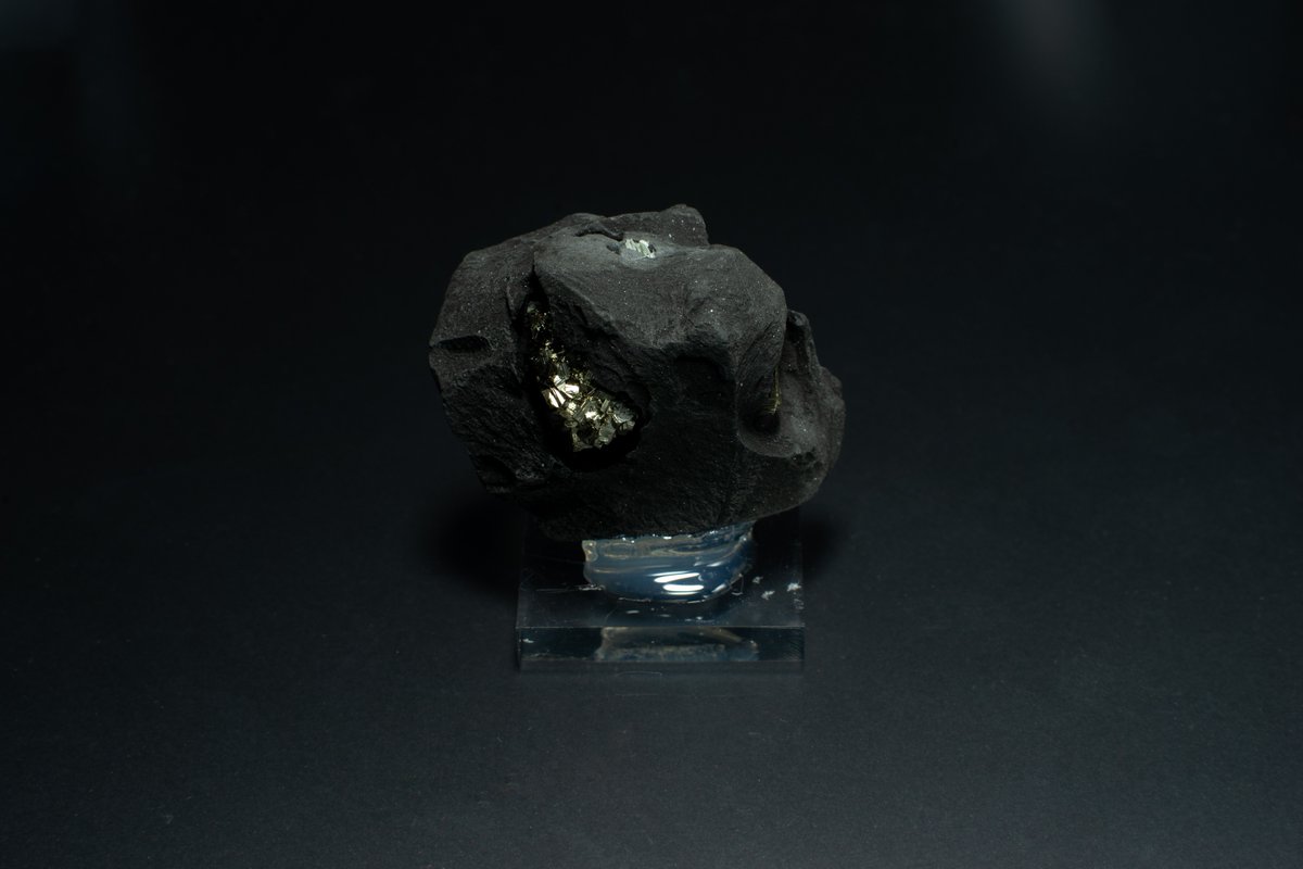 Kenichi Okamura tweet media