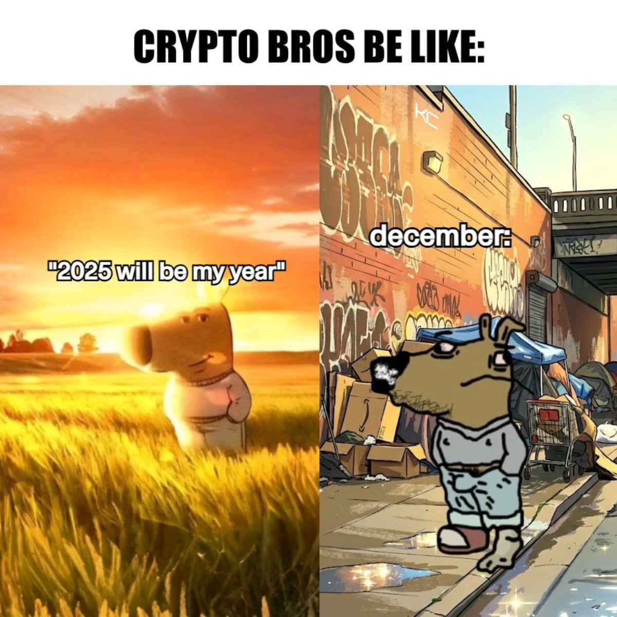 Crypto bro 😎 🤔