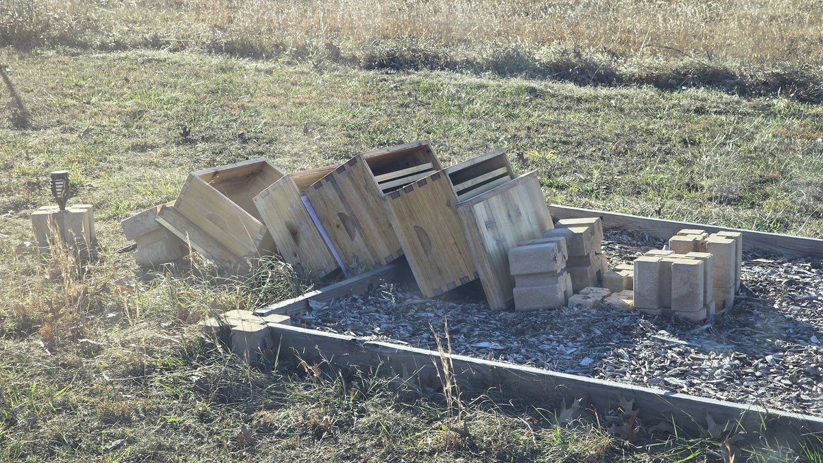 Oldwayon tweet media