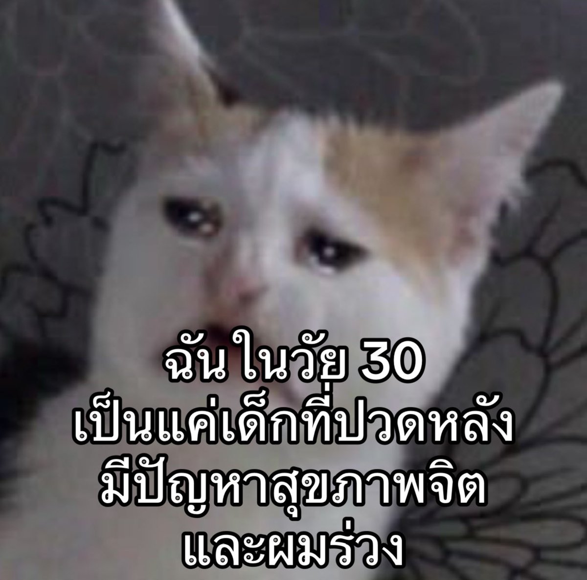 ฉันเป็นแค่เด็ก