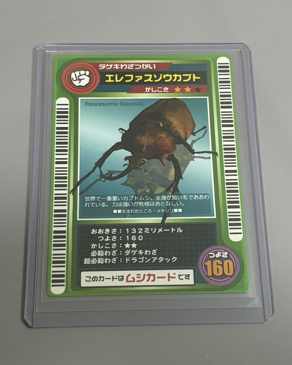 ムシキング　ロケテスト Amazon.co.jp: 激レア 美品 2002年ロケテスト カブトムシ ムシキング