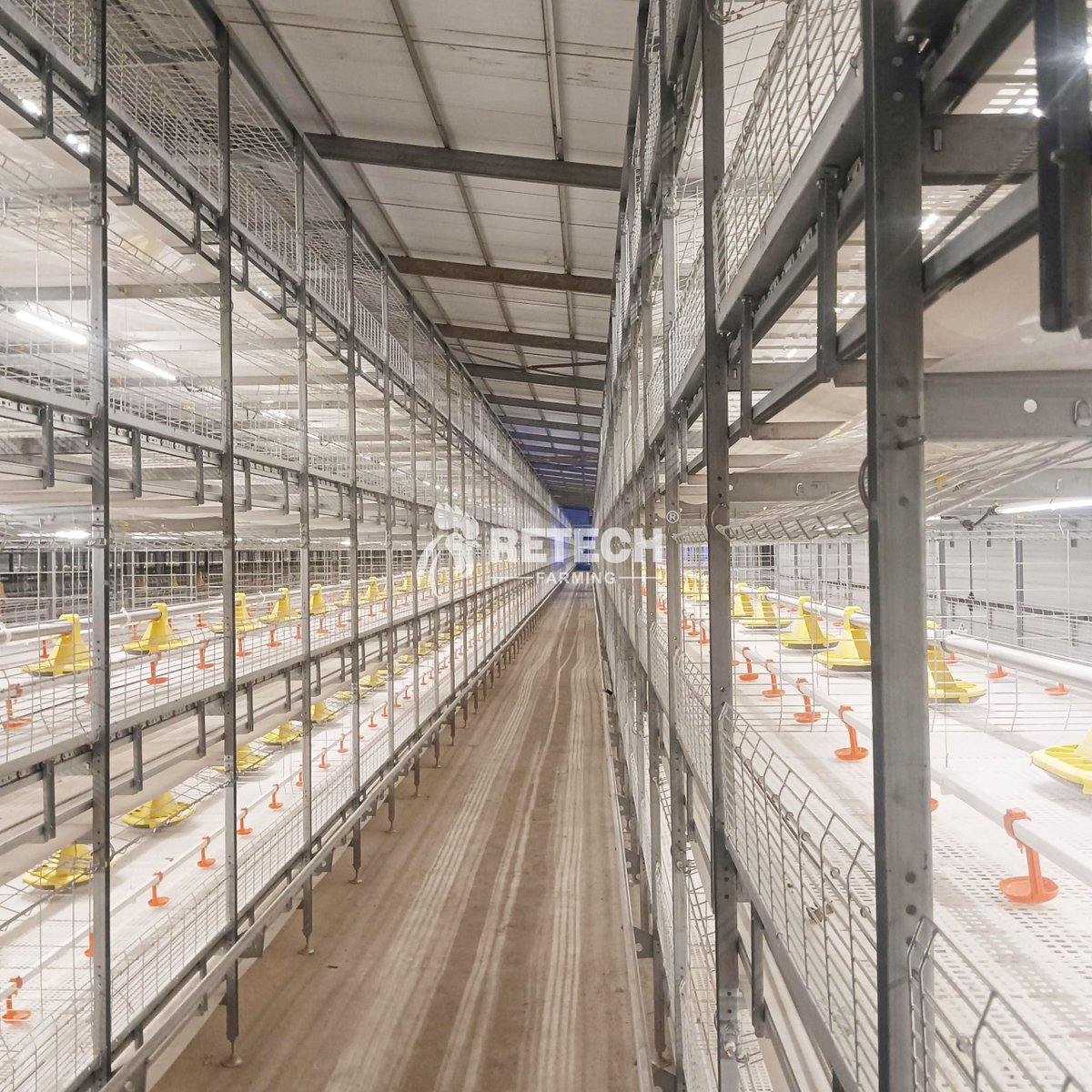retechfarming's tweet image. 🇵🇭 Philippines 86,400-Chicken Broiler Project!

👉 Contact us anytime! 
📲 WhatsApp: +86 185 6181 8850
📧 Email: admin@retechfarming.com
🌐 retechfarming.com 

#RETECHFarming #ChickenFarm #PoultryFarming #Philippines #broilerfarm #chickencage