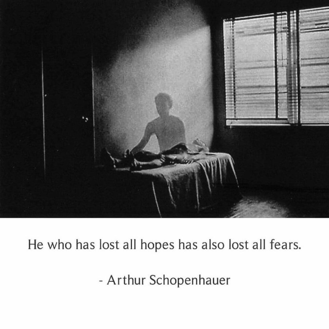 SchopenhauerNow's tweet image. 