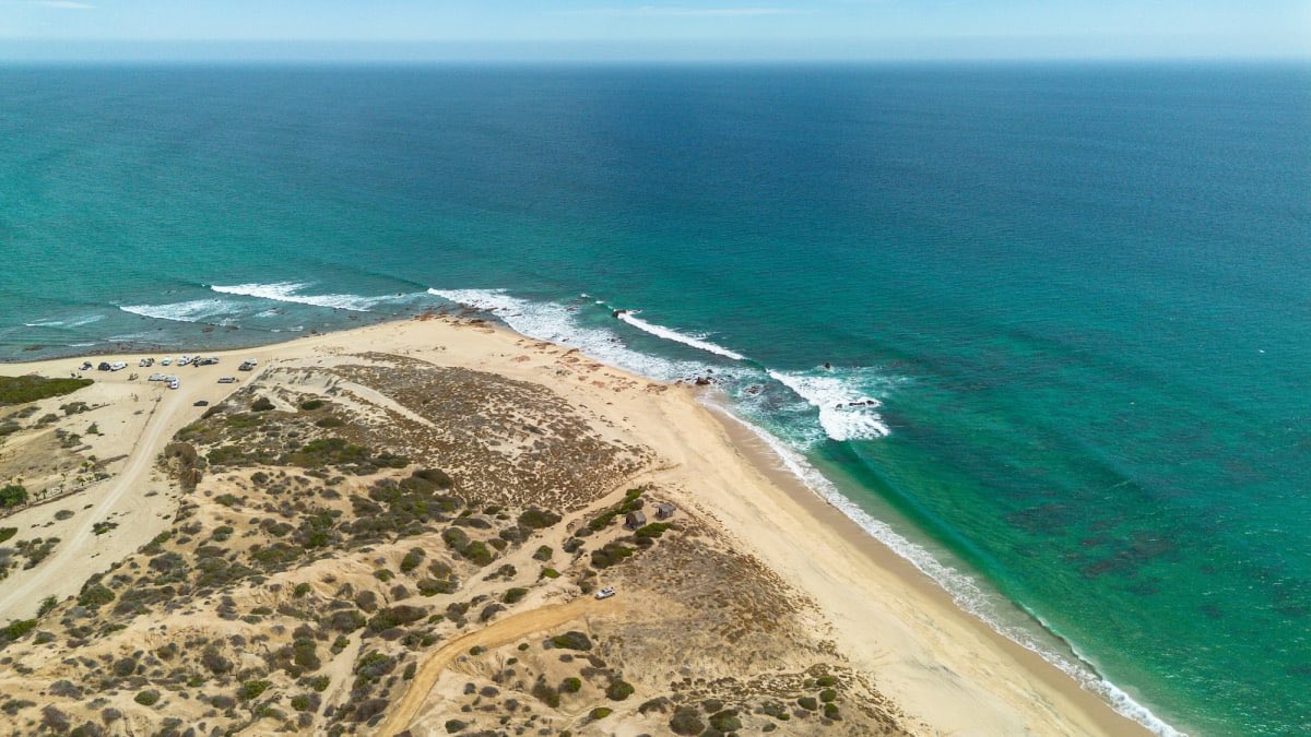 Baja Visitor tweet media