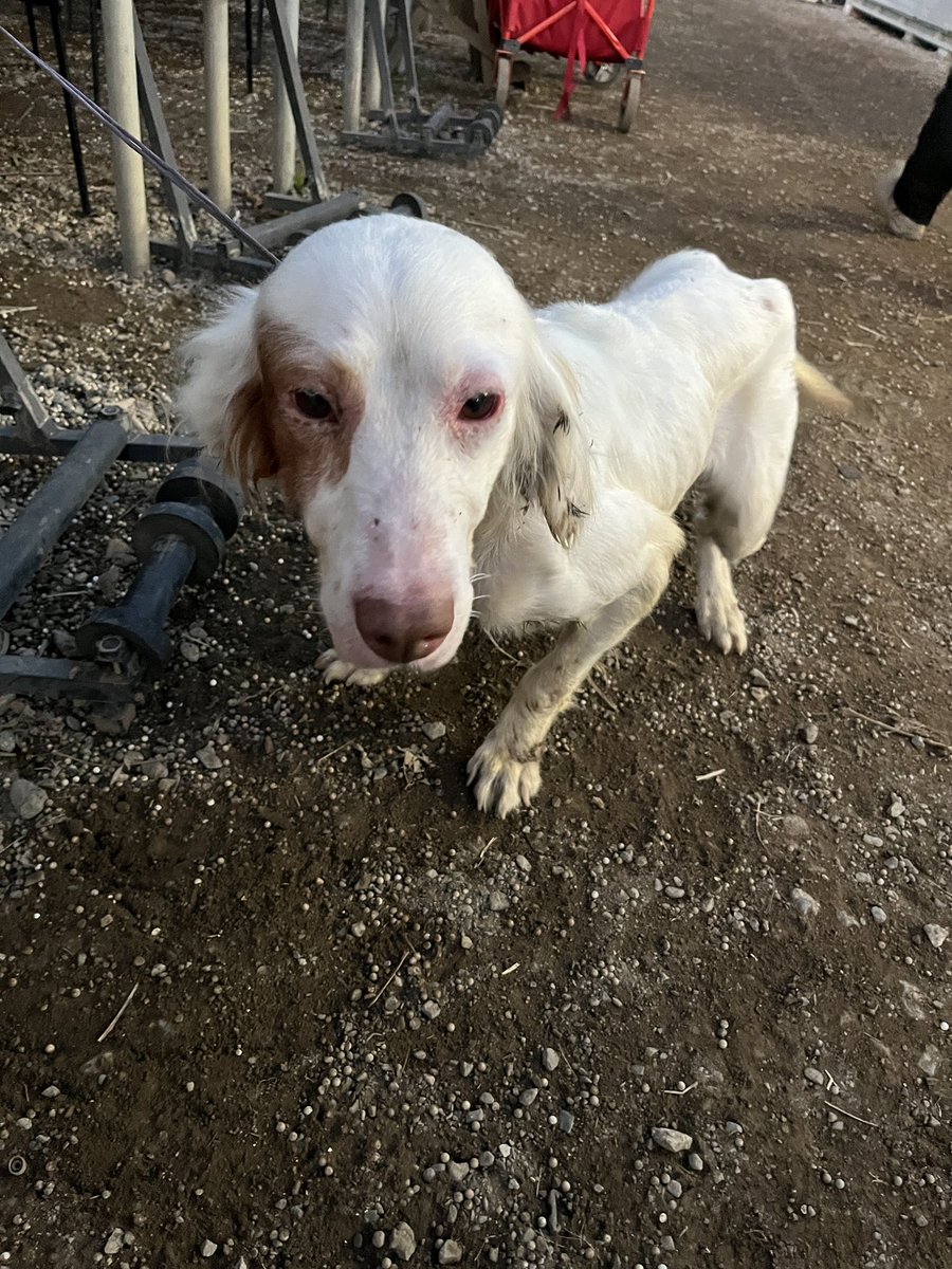 れんれん (@xlZt99M78qximHL) / Posts / X