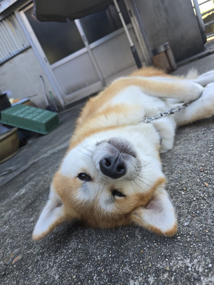 ْ (@65907_30_4) / Posts / X