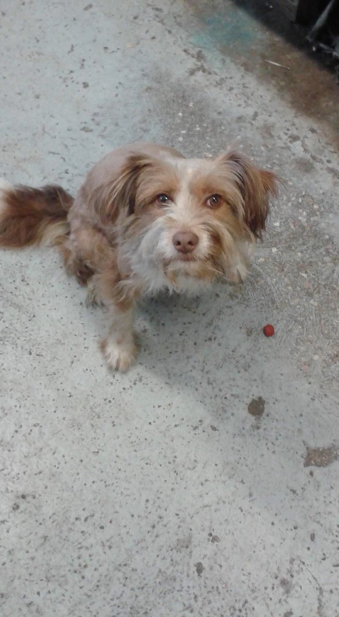 Χάθηκε στην περιοχή του ΒΟΤΑΝΙΚΟΥ !!!!!6974598837!!!ΚΟΝΤΑ ΣΤΗΝ ΕΚΚΛΗΣΙΑ ΠΡΟΦΗΤΗΣ ΔΑΝΗΙΛ ,ΣΠΥΡΟΥ ΠΑΤΣΗ ΚΑΙ ΚΑΒΑΛΑΣ !!!ΑΡΣΕΝΙΚΟ ΟΝΟΜΑ ΛΑΚΗΣ ΧΩΡΙΣ ΤΣΙΠΑΚΙ ΣΥΝΤΟΦΙΑ ΣΕ ΜΑΓΑΛΟ ΑΝΘΡΩΠΟ !!!!!