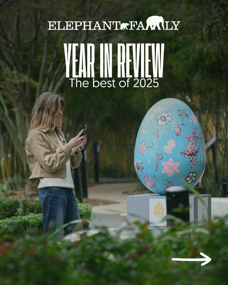 Elephant Family tweet media