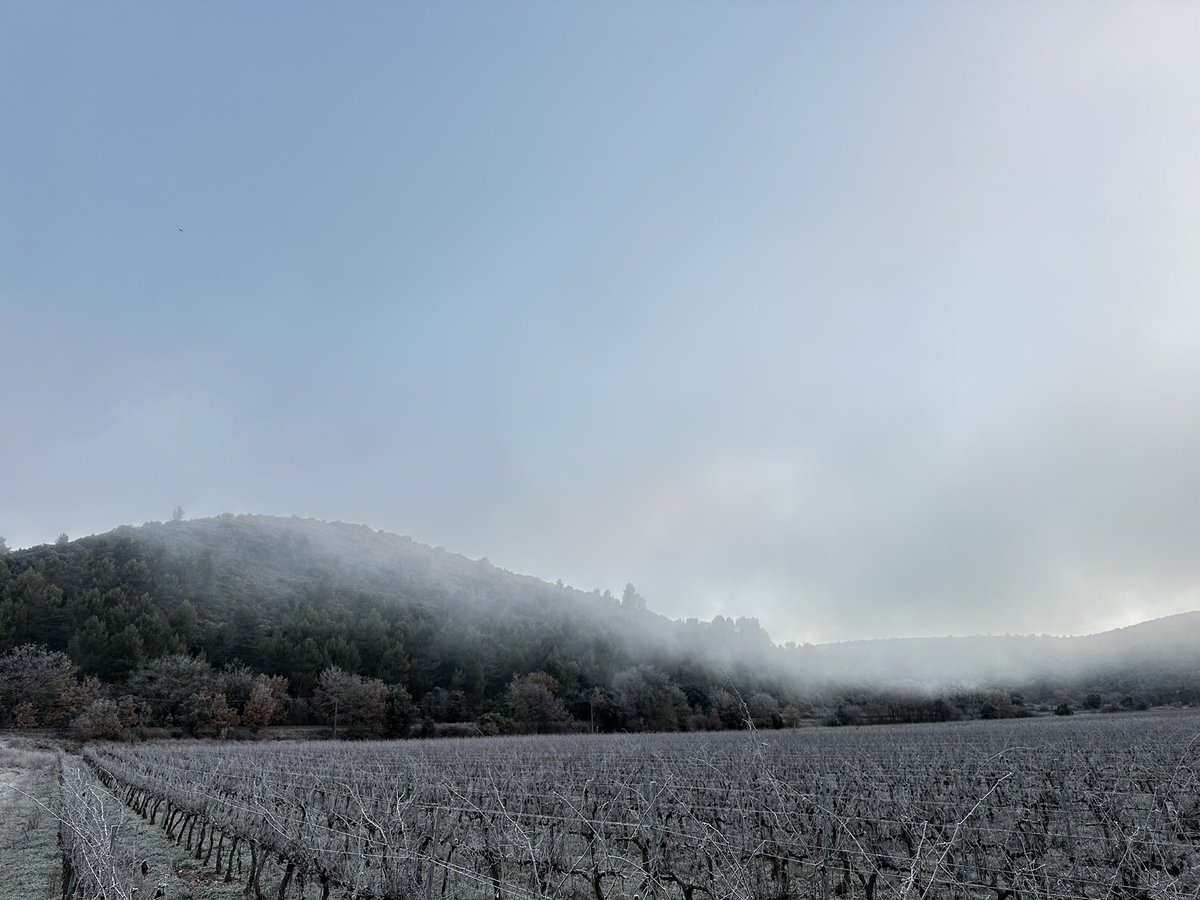 Château de Clapier tweet media