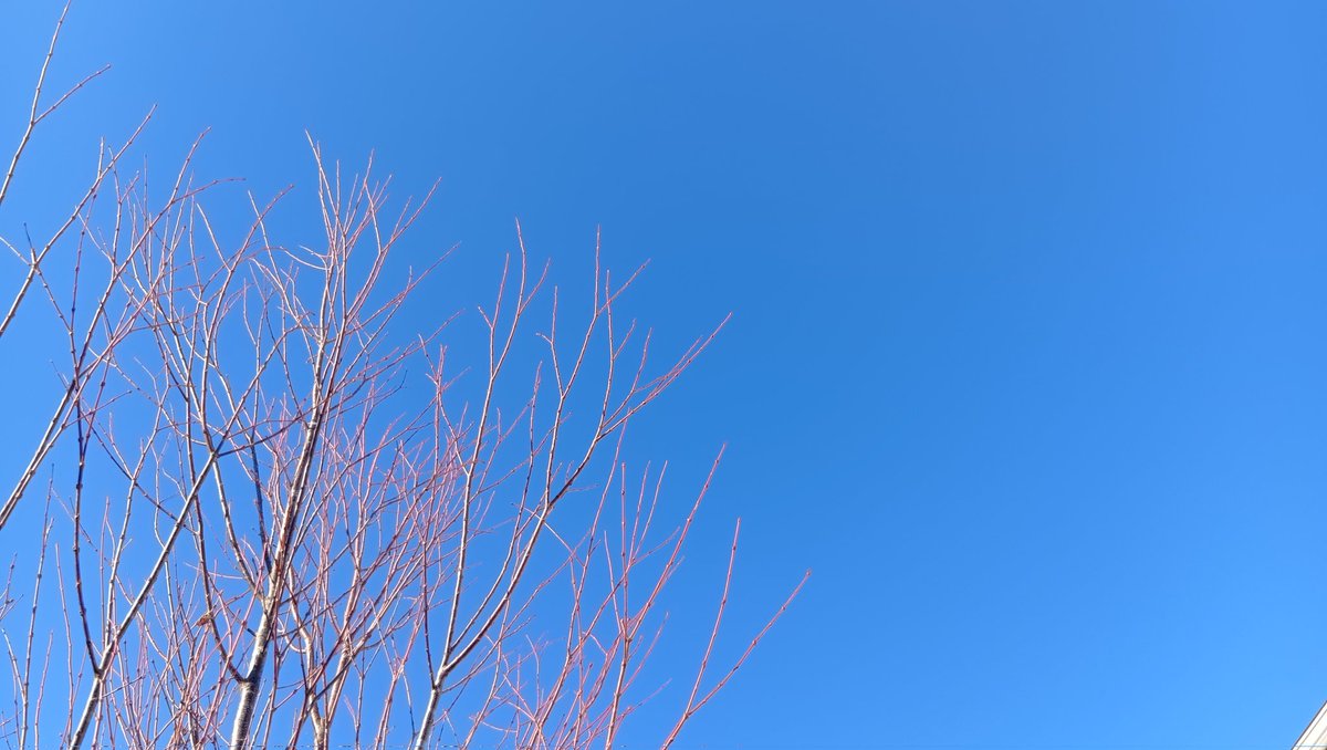 もう、空の色が、年と年の境目の色をしていた。