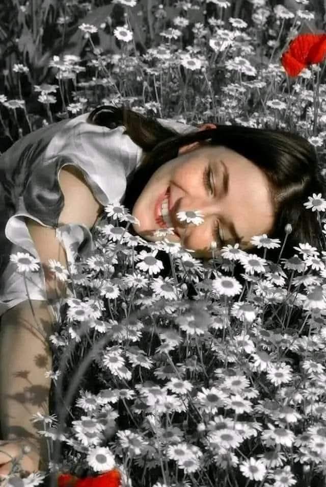 حنونـه وكـأن كل حـروف العطـف تنتمـي إليـها 
عذبة كضحكة الاطفال ♪❥
#صباح_الخير_والسعاده 
..ᥫ᭡#ᘓɹ̇ɠ_ᘗ_ċ᭡𓂀  ••