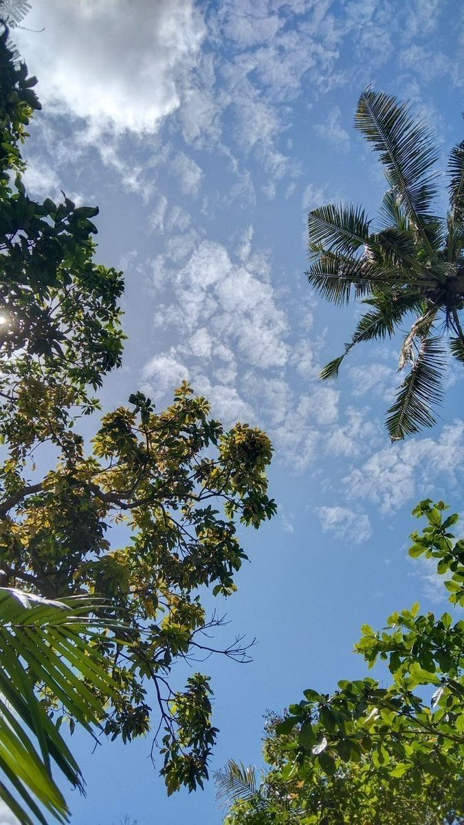 ipreet00912808's tweet photo. #NatureBeauty https://t.co/qTarVklhev
