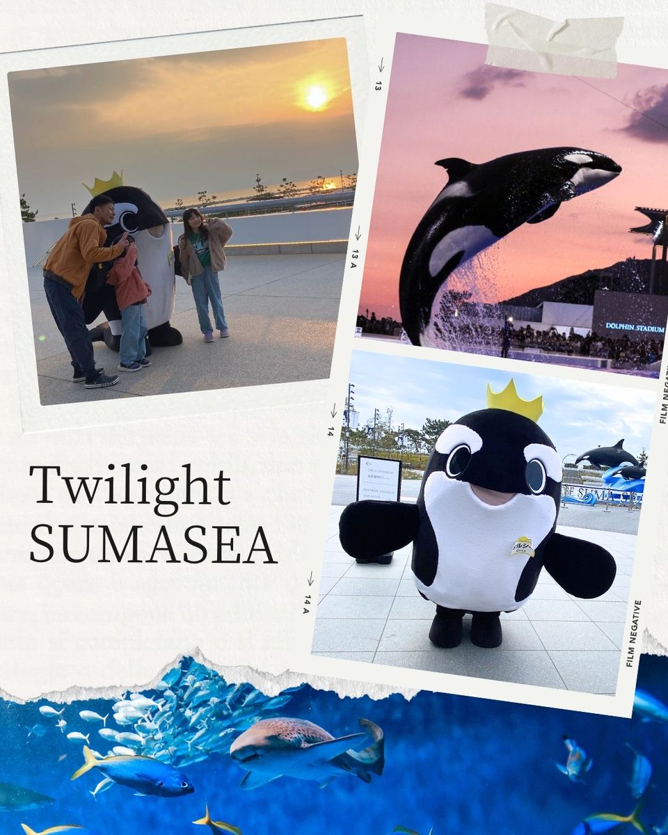 トワイライト様ご確認用ページ！ マイページ 初回会員登録方法｜よくあるご質問 | TOKAIケーブル