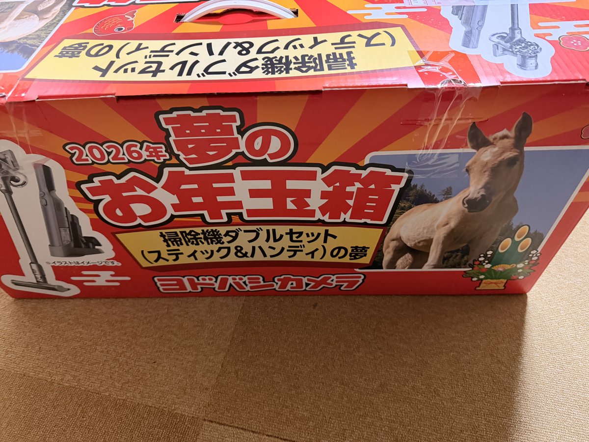 ヨドバシカメラ Yodobashi Camera 夢のお年玉箱2026 掃除機ダブル