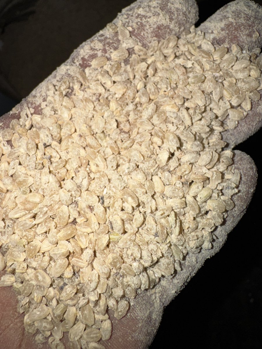 お客さんを怒鳴り散らしてしまいました☺️ 水戸市けやき台コイン精米所、使用中止になったと電話がありました。☺️ 昨日点検したばかりなのに、壊れるわけがないと思って来てみたら、超スーパークズ米がぶっ詰まってました。☺️  これは修理代いただくようですよ。と ...