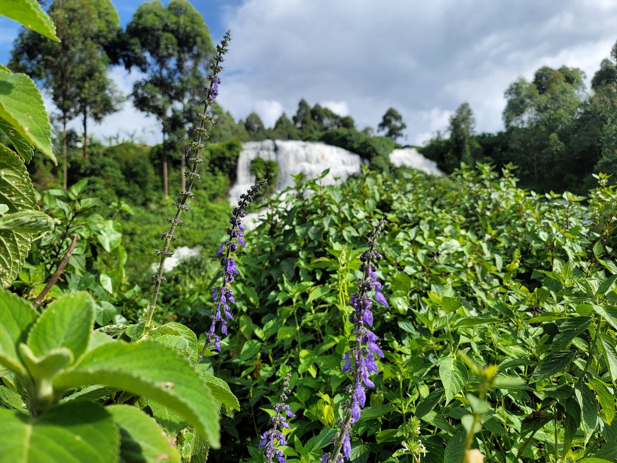 bjohnhillary's tweet image. Mwe abasigala e'Kampala!