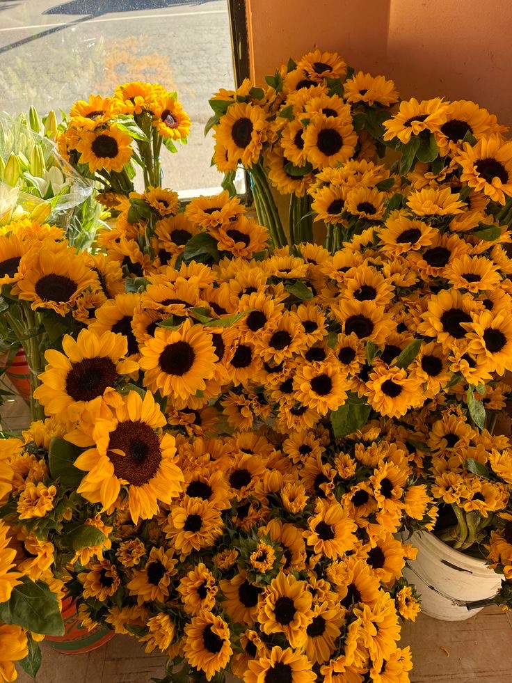 sunflowerchives's tweet image. Smile, it’s a sunflower kind of day.