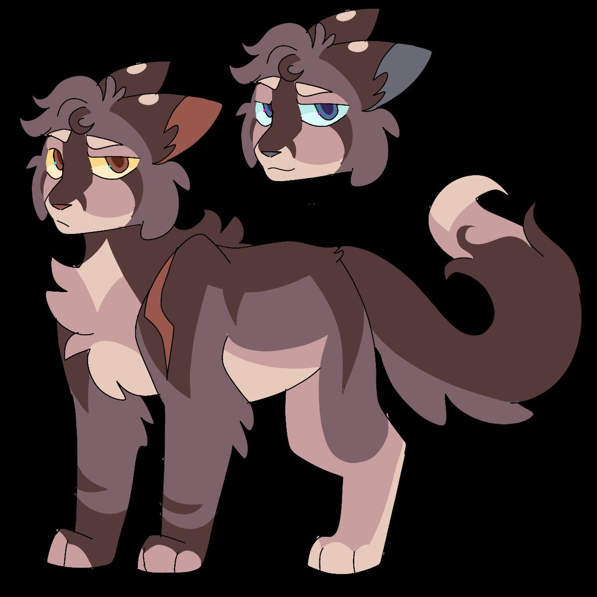 jazztunez's tweet image. this warrior cats fan still serves maps the old fashioned way