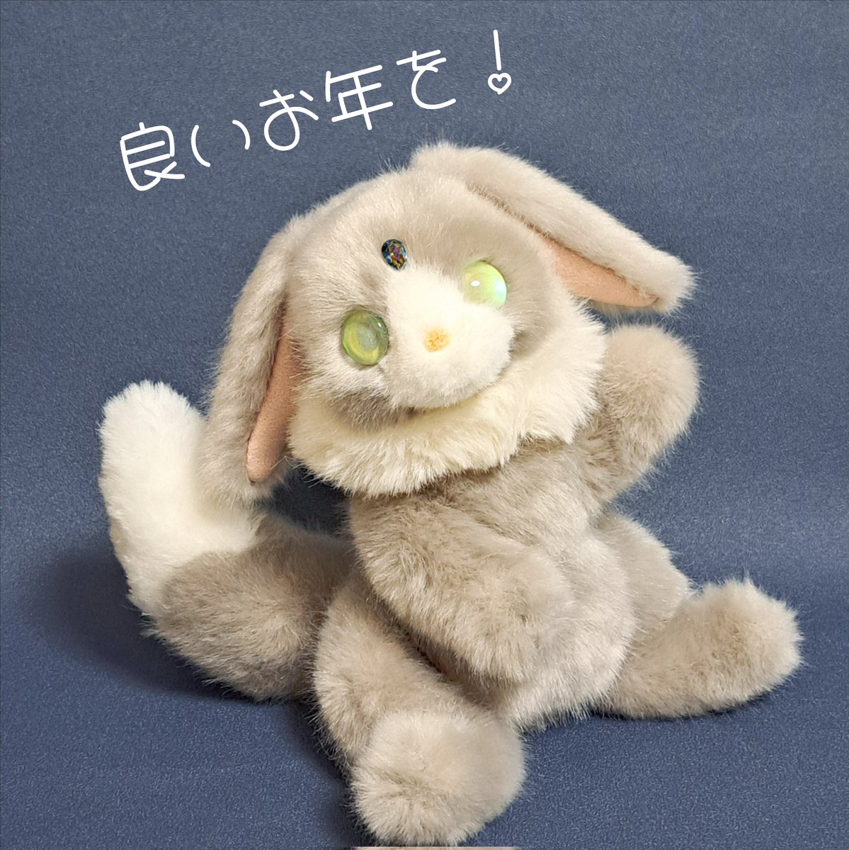 まめこ (@Mamekonokomame) / Posts / X