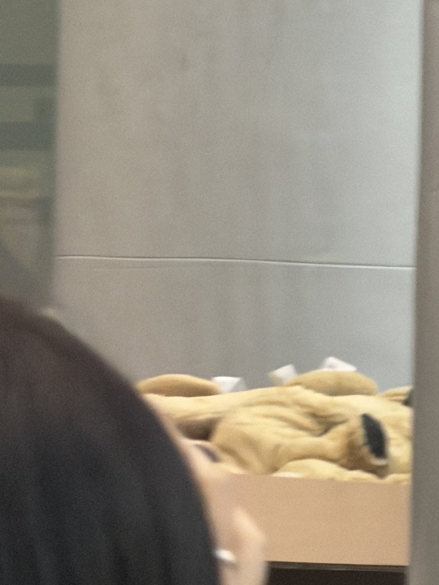 HanqkLove00's tweet image. 댕모맞네 ㅋㅋㅋㅋㅋㅋㅋㅋㅋㅋㅋㅋㅋㅋㅋㅋㅋㅋㅋㅋㅋㅋㅋㅋㅋㅋㅋㅋㅋㅋㅋㅋㅋㅋㅋㅋㅋㅋㅋㅋㅋㅋㅋㅋㅋㅋㅋㅋㅋㅋㅋㅋㅋㅋㅋㅋㅋㅋㅋㅋㅋ