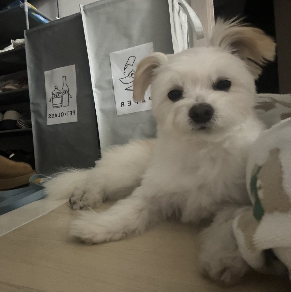 산책하고나면 발을 씻어야한다는 것을 믿을 수 없었던 것 같아