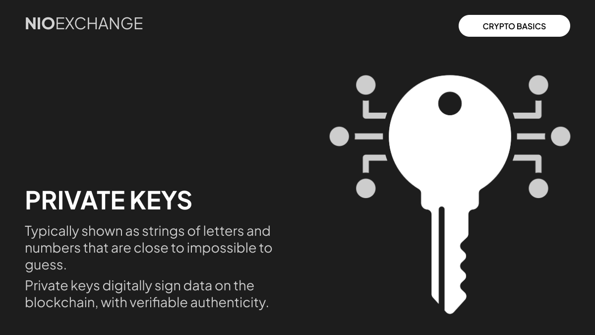 🔐 Your #PrivateKey = your crypto ownership. No private key? No control.  Protect it like your digital vault key — because it is. #CryptoBasics  #CryptoSecurity