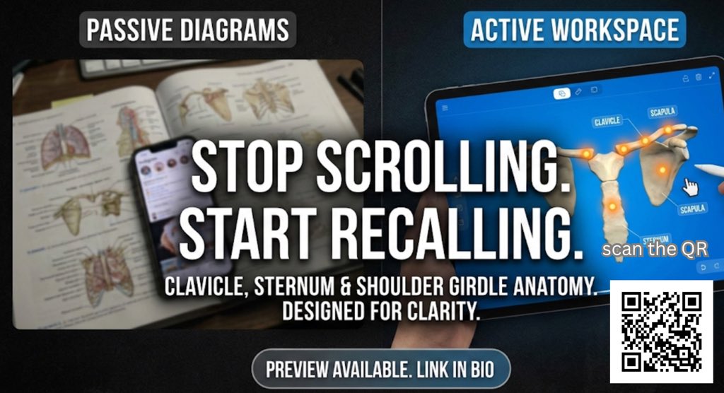 senushi dinara tweet media