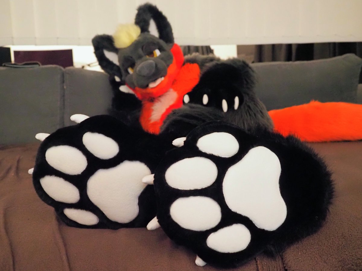 darkDrakee's tweet photo. Oh hello there👀 I just layed down to relax🐾

📷@Itai_dog
🪡@VarrosCreations https://t.co/btyxBJp9r7
