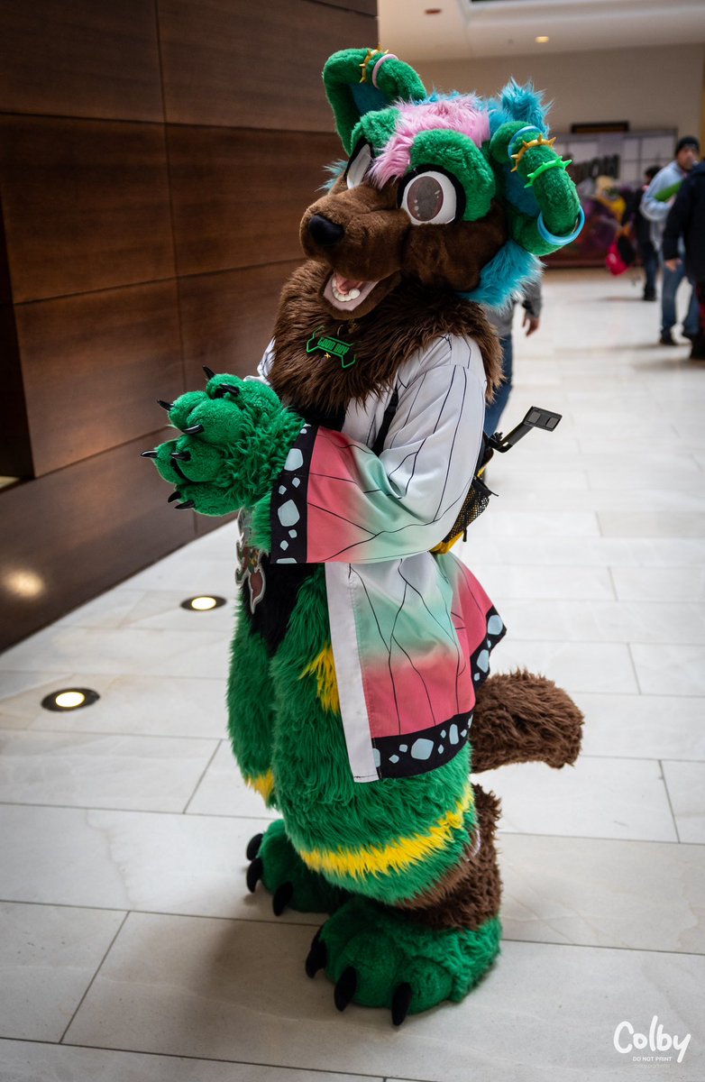 Harcanine_D's tweet photo. Am just a Arcanine FireDoggo who cosplay as Shinobu and wandering around at #mff25. 

Photo📸: By Colby Husky via Furtrack

#Fullsuiting #furry https://t.co/x4B53eM3wq