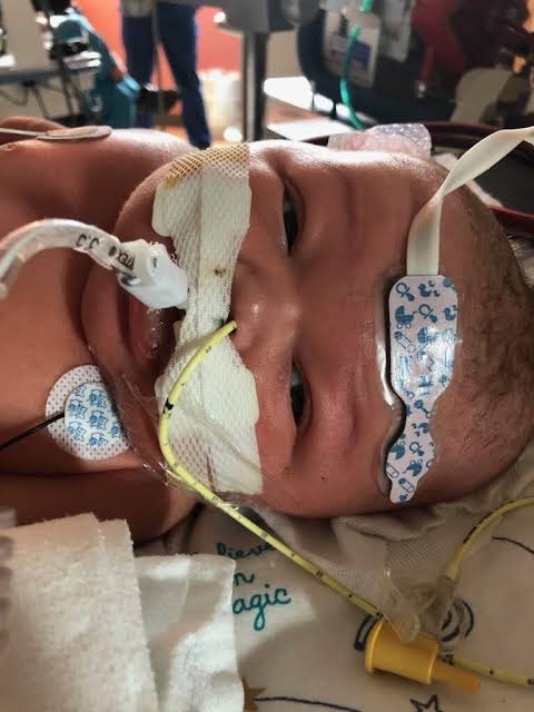 Neil Stone tweet media