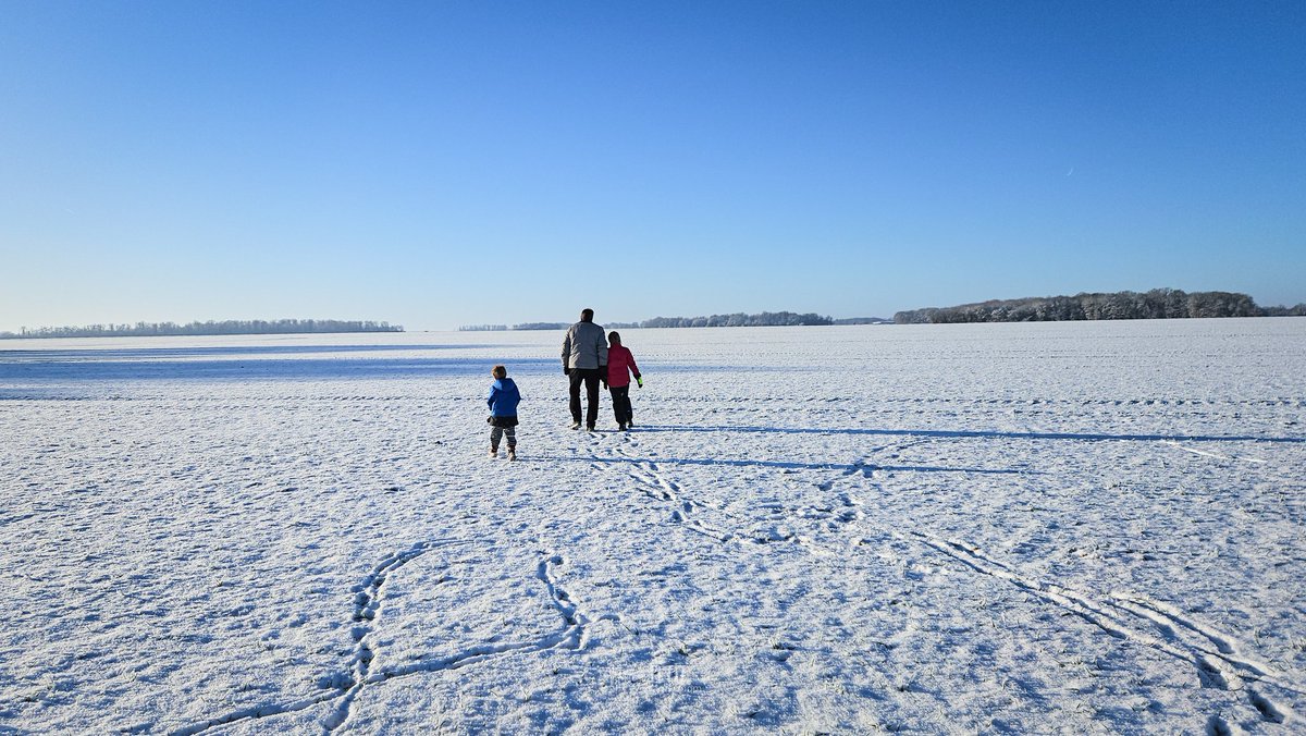 agri_zoom's tweet image. L'année 2026 commence fort ❄️
Avec -12° cette nuit, nous croisons les doigts pour ne pas voir trop de dégâts sur nos lins d'hiver !
Rdv dans 10 jours pour compter 🌱

Avec les nouvelles variétés : Dune, Hibern et Onyx #Lin #neige #gel

@SergeZaka @TerredeLin
